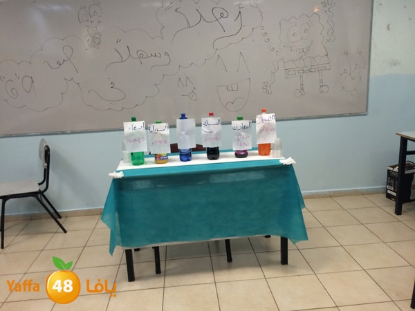 shamela ejtema3qw (4).jpg